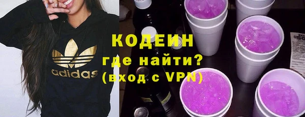 индика Киреевск