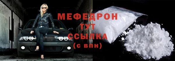 индика Киреевск