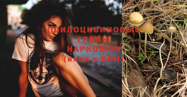 шишки Киренск