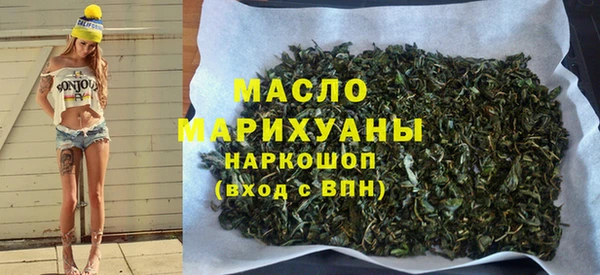 индика Киреевск