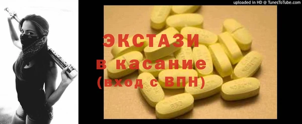 индика Киреевск