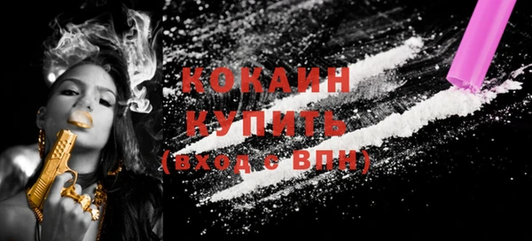 индика Киреевск