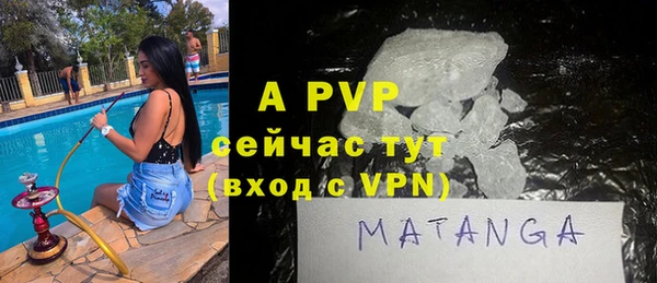 индика Киреевск