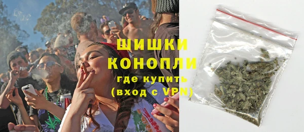 индика Киреевск
