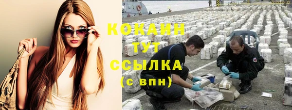 индика Киреевск