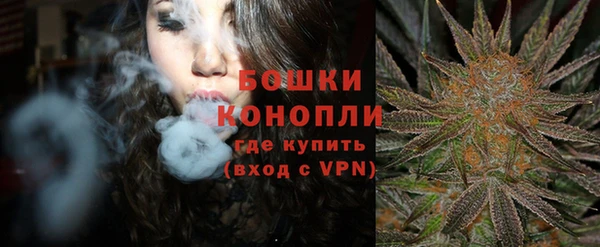 шишки Киренск