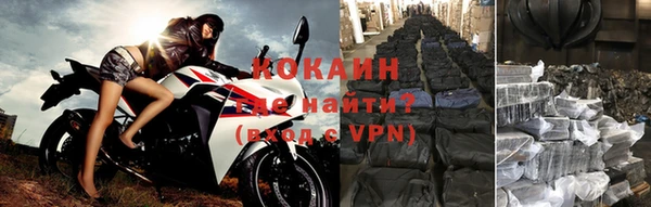 индика Киреевск