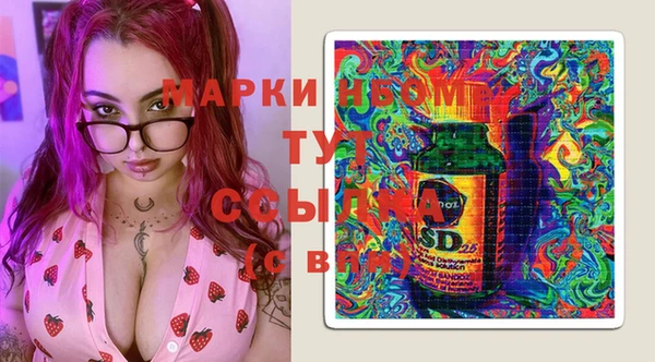 индика Киреевск